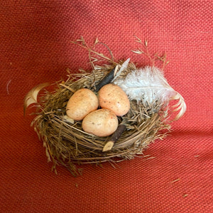 Mini Bird Nest w/eggs