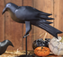 Iron Crow Set of 2